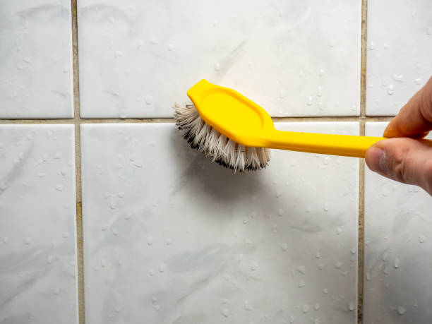 Best Same-Day Mold Removal  in Aetna Estates, CO