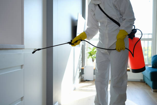 Best Certified Mold Removal  in Aetna Estates, CO