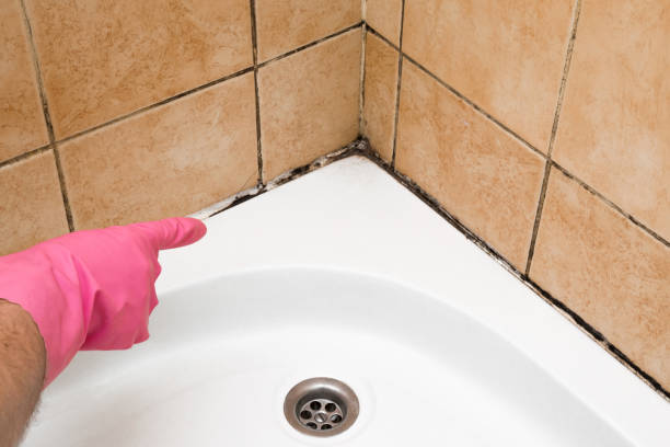 Best Local Mold Removal Service  in Aetna Estates, CO